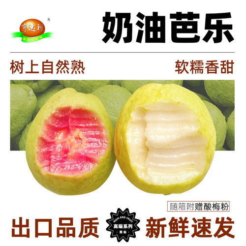 树上自然熟，软糯多汁 富含满满维生素