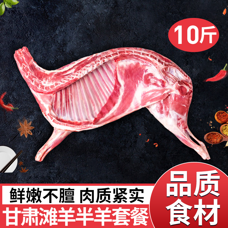 祁连天宝甘肃滩羊半只羊10斤