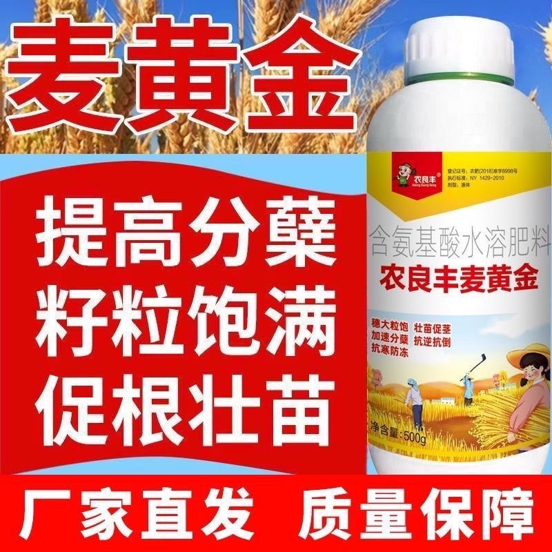 农良丰麦黄金小麦高产叶面肥抗倒伏增产水溶肥补充营养穗大粒壮苗