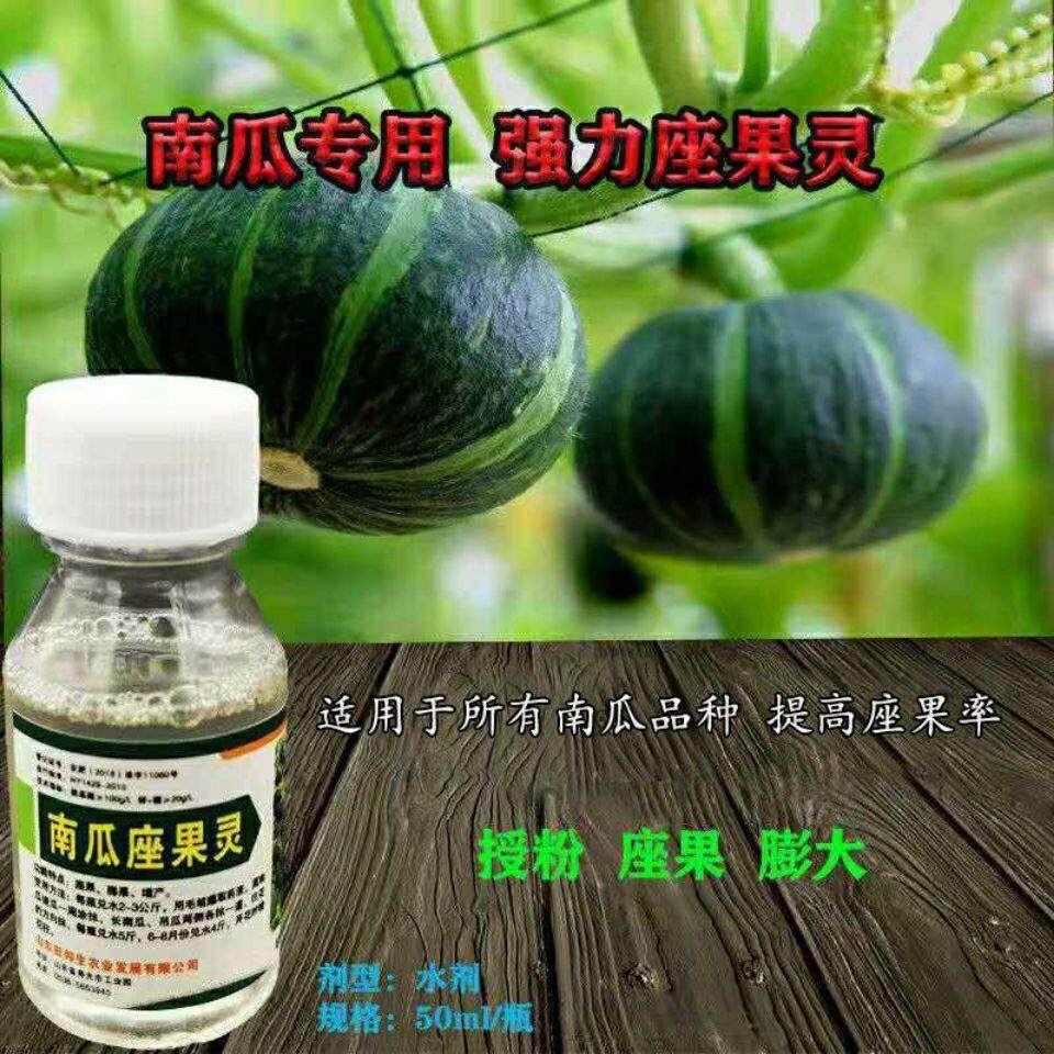 南瓜专用座果灵点花喷花剂南瓜坐果授粉南瓜通用促进座果提质增产