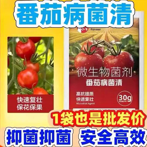 科沃华番茄病菌清西红柿专用药