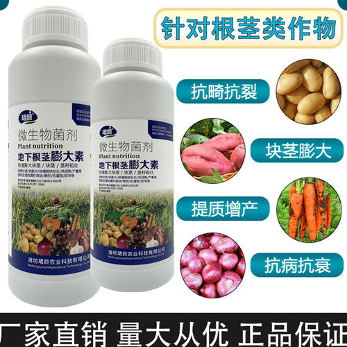 珺颜地下根茎膨大素快膨大产量高