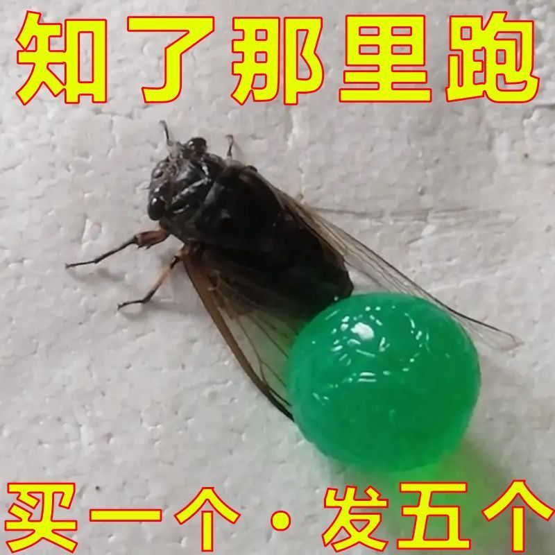 抓知了神器户外捕蝉工具绿球套餐
