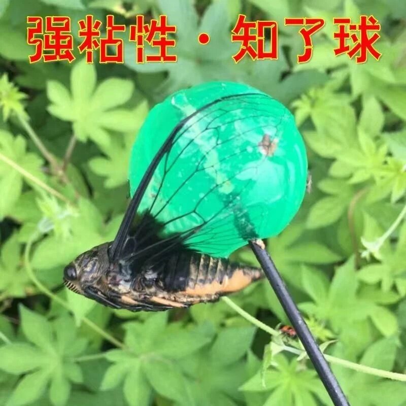 小绿手捕抓知了神器超粘粘蝉工具