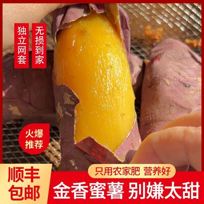 薯道萳正宗高端红瑶黄金蜜薯新鲜榴莲蜜薯溏心红薯黄心烤地瓜