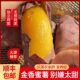 薯道萳正宗高端红瑶黄金蜜薯新鲜榴莲蜜薯溏心红薯黄心烤地瓜
