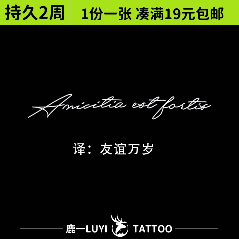 友谊万岁 草本纹身贴纸防水女持久英文字母半永久ins高级感锁骨贴