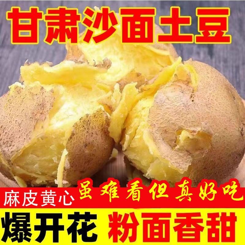 25年甘肃沙面土豆新鲜定西黄皮黄心洋芋土豆蔬菜5斤10斤新鲜土豆,水产肉类/新鲜蔬果/熟食,土豆,淘宝优惠券,粉丝福利购,淘宝优惠卷