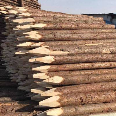 松木桩打杉木桩河道护坡带皮材树桩防汛原木桩支持杆3米4米6米