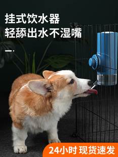 狗狗挂式 喝水器猫咪不湿嘴饮水器猫喂水器悬挂笼子饮水机宠物水壶