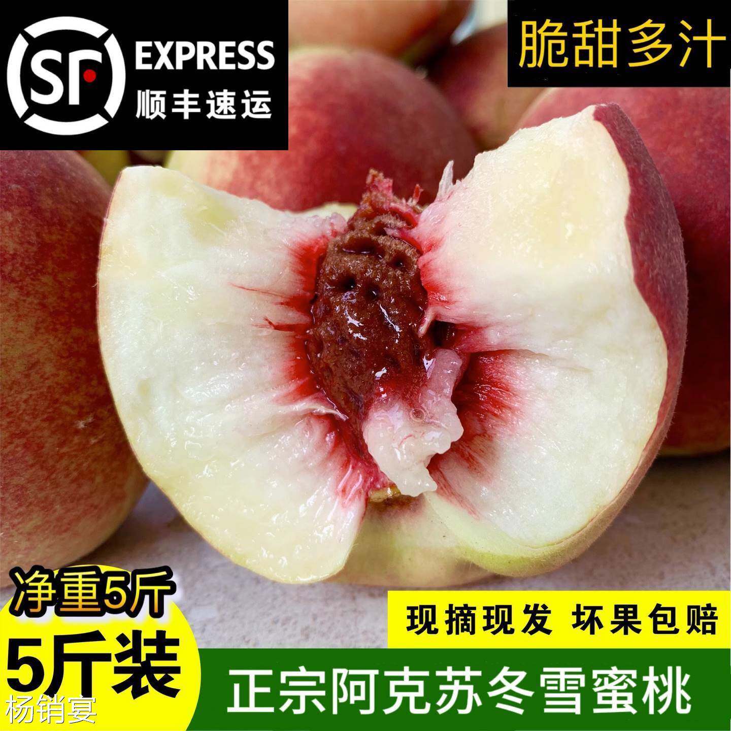 正宗新疆阿克苏脱骨冬雪蜜桃当季新鲜现摘离核毛桃顺丰包邮