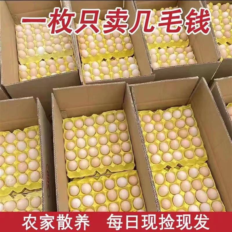 农家散养土鸡蛋40枚整箱包邮正宗新鲜草鸡蛋谷物笨360枚柴鸡蛋