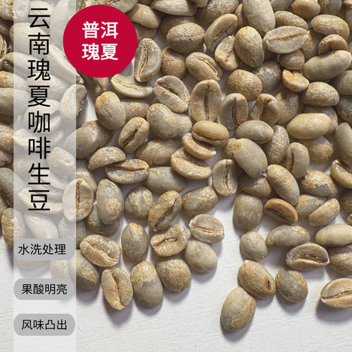 云南瑰夏咖啡生豆水洗处理精品烘焙豆中浅手冲咖啡豆茉莉花香突出