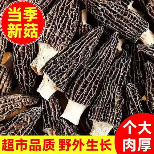 云南羊肚菌高山新鲜食材精选深山干货菌菇煲汤批发蛹虫草食材冬夏