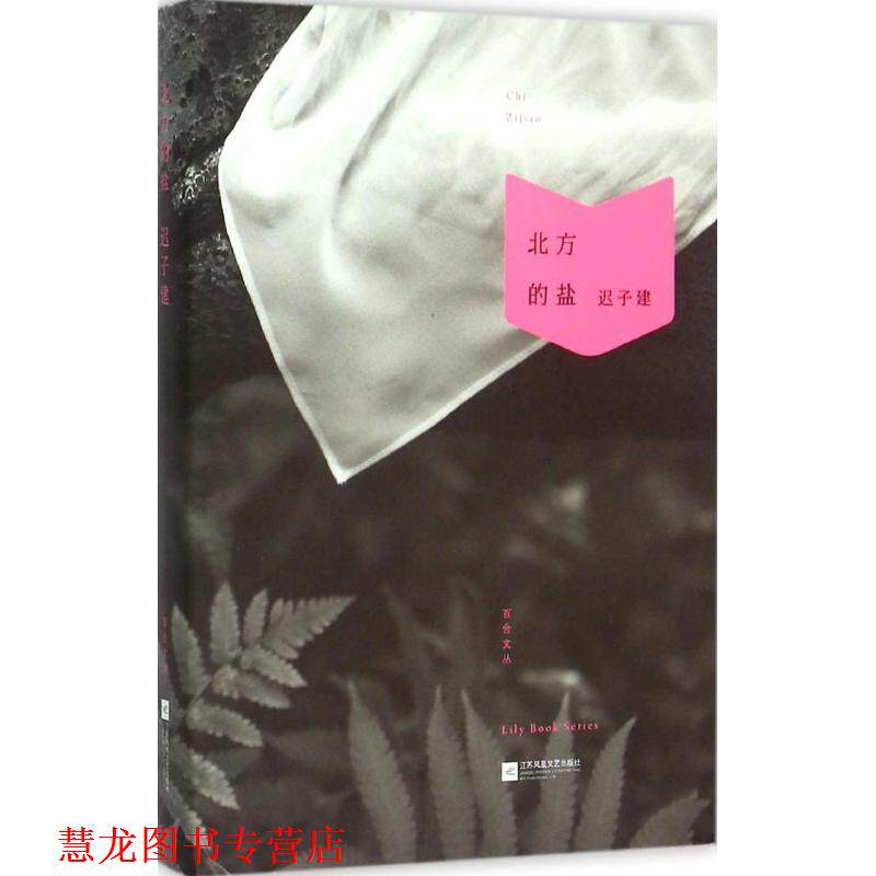 【正版书籍】 北方的盐 迟子建 著 江苏凤凰文艺出版社