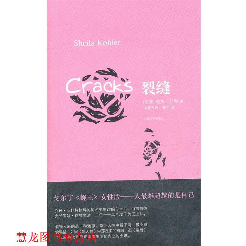 【正版书籍】 裂缝 (南非)科勒 著,申屠云 等译 人民文学出版社