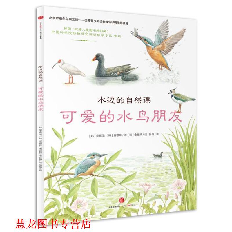 【正版书籍】 水边的自然课:可爱的水鸟朋友 (韩)金雄西 著 中信出版社