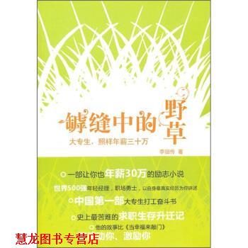 【正版书籍】 罅缝中的野草:大专生，照样年薪三十万 李扭传 著 陕西师范大学出版社