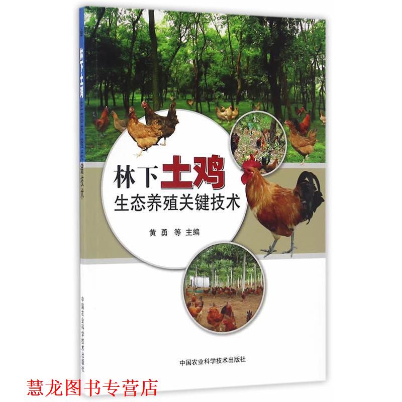 【正版书籍】 林下土鸡生态养殖关键技术 黄勇　等主编 中国农业科学技术出版社