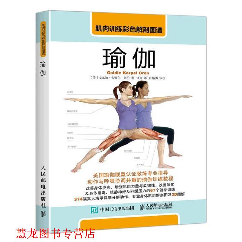 【正版书籍】 肌肉训练彩色解剖图谱:瑜伽 【美】戈尔迪 卡佩尔 奥伦(Goldie Karpel Oren) 人民邮电出版社
