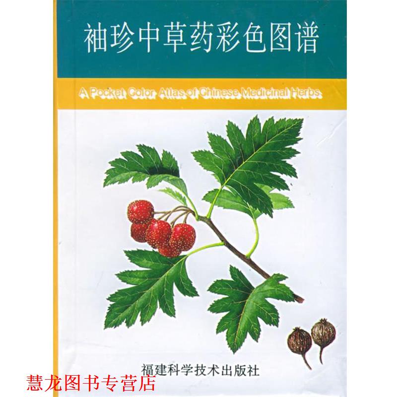 【正版书籍】 袖珍中草药彩色图谱 华碧春,陈小峰 编著 福建科技出版社