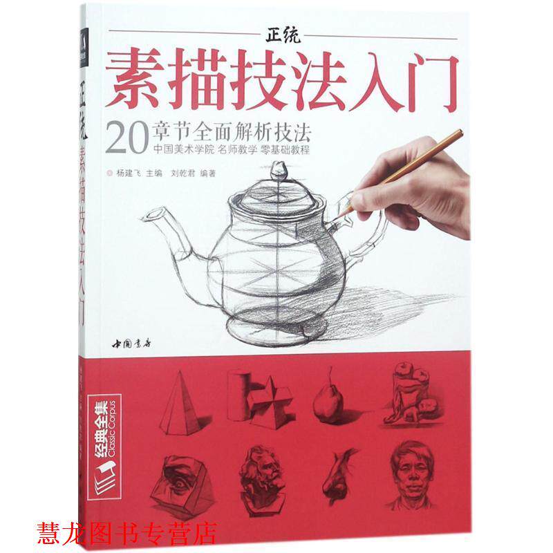 【正版书籍】 正统素描技法入门 杨建飞 主编,刘乾君 编著 中国书店出版社