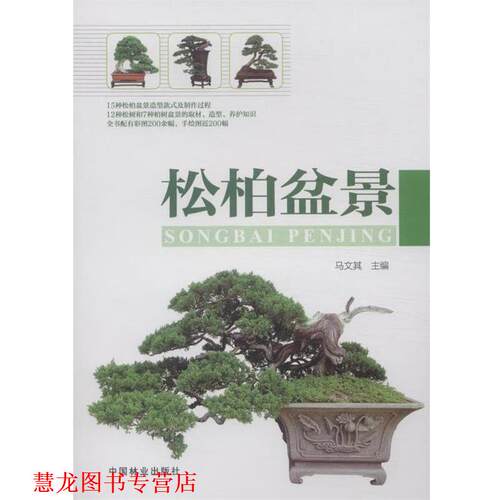 【正版书籍】 松柏盆景 马文其　著 中国林业出版社