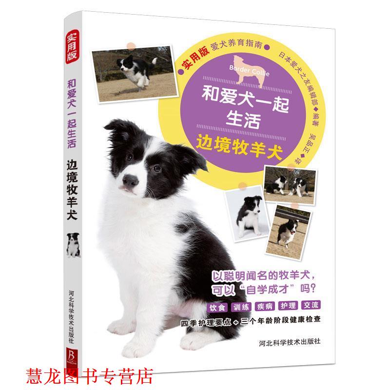 【正版书籍】 和爱犬一起生活：边境牧羊犬 日本爱犬之友编辑部编,吴品正 译 河北科学技术出版社
