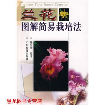 【正版书籍】 兰花图解简易栽培法 陈宇勒 著 广东科技出版社