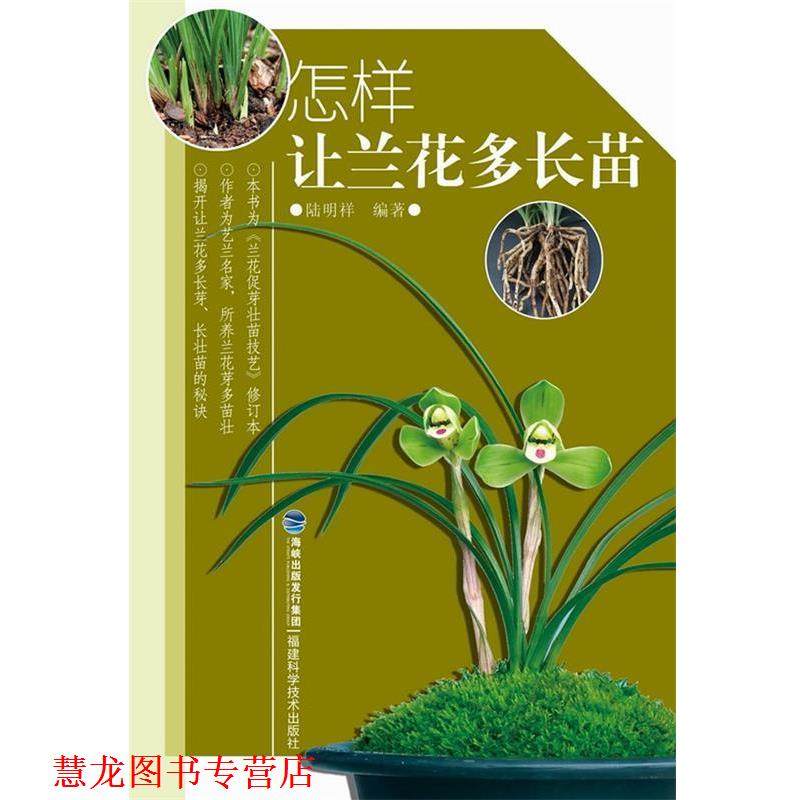 【正版书籍】 怎样让兰花多长苗 陆明祥 福建科技出版社