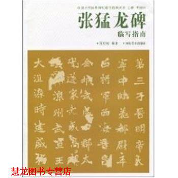 【正版书籍】 张猛龙碑临写指南 朱长河 河南美术出版社