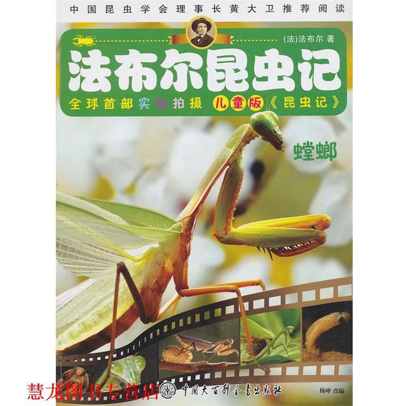 【正版书籍】 法布尔昆虫记 螳螂 杨坤 中国大百科全书出版社