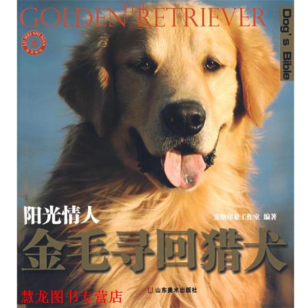【正版书籍】 世界名犬驯养宝典-阳光情人 金毛寻回猎犬 宠物印象工作室 编著 山东美术出版社