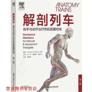 【正版书籍】 解剖列车—徒手与动作的肌筋膜经线 ThomasW.Myers（美） 著 军事医学科学出版社