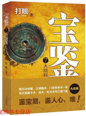 【正版书籍】 宝鉴7 打眼 文心出版社