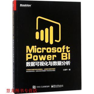 Microsoft Power 电子工业出版 正版 社 王国平 书籍 数据可视化与数据分析