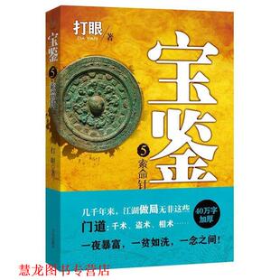 【正版书籍】 宝鉴5:索命针 打眼 文心出版社