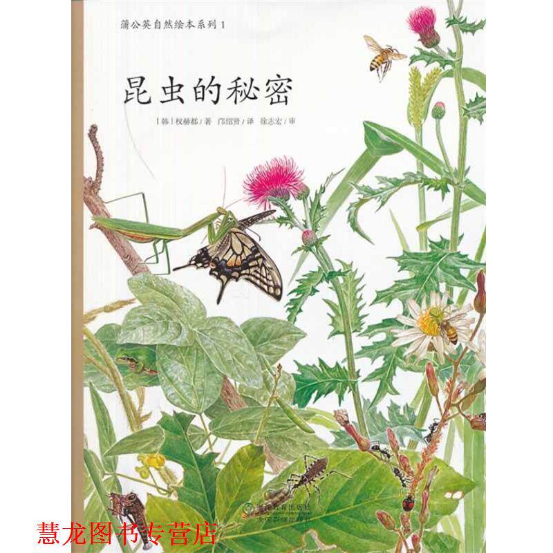 【正版书籍】 蒲公英自然绘本系列:昆虫的秘密 权赫都 浙江教育出版社