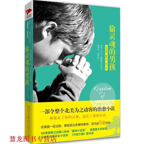 【正版书籍】 偷灵魂的男孩 荷莉·佩恩 北京联合出版公司