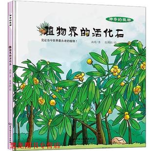 神奇 植物 北京理工大学出版 正版 社 高霞 书籍 活化石 植物界