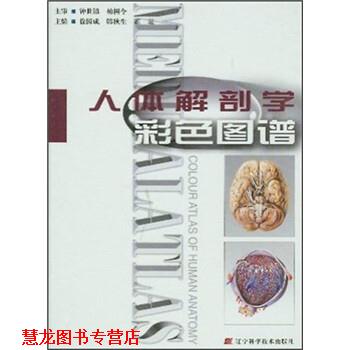 【正版书籍】 人体解剖学彩色图谱 徐国成 等 编 辽宁科学技术出版社