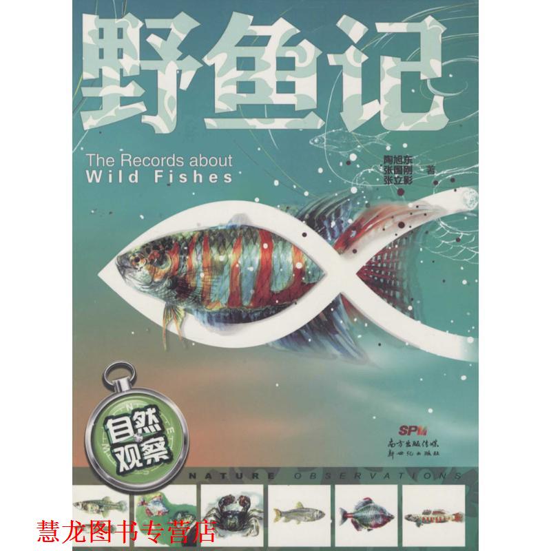 【正版书籍】 自然观察:野鱼记 陶旭东,张国刚,张立影 著 新世纪出版社