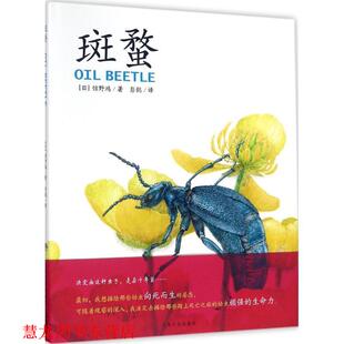 【正版书籍】 心喜阅童书 科普馆:斑蝥 [日] 馆野鸿 著,海豚传媒 编,[日] 馆野鸿 绘,彭懿 上海文化出版社