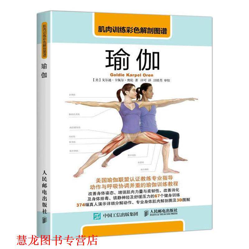 【正版书籍】 肌肉训练彩色解剖图谱:瑜伽 【美】戈尔迪 卡佩尔 奥伦(Goldie Karpel Oren) 人民邮电出版社