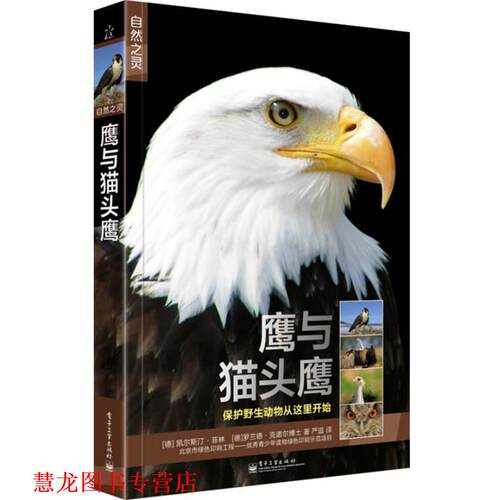 【正版书籍】 自然之灵鹰与猫头鹰 克林斯汀·菲林 罗兰德·克诺尔博士 著 电子工业出版社
