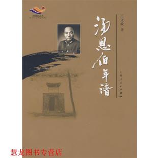 【正版书籍】 汤恩伯年谱 王文政　著 上海人民出版社