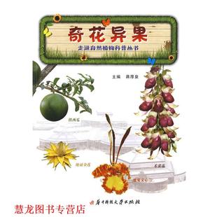 【正版书籍】 走进自然植物科普丛书:奇花异果 蒋厚泉 主编 华中科技大学出版社