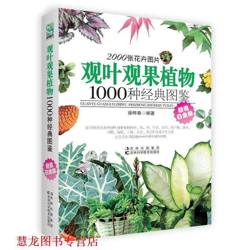 【正版书籍】 观叶观果植物1000种经典图鉴 徐晔春 编著 吉林科学技术出版社