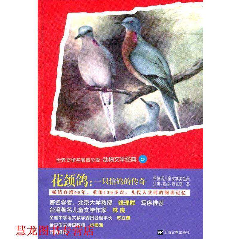【正版书籍】 花颈鸽:一只信鸽的传奇 (美)默克奇 上海文艺出版社