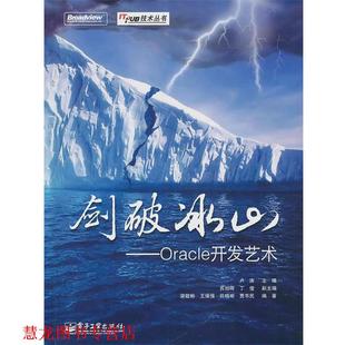 【正版书籍】 剑破冰山—Oracle开发艺术 卢涛主编,苏旭晖 丁俊 副主编,梁敬彬 王保强 怀敬明 贾书民 编著 电子工业出版社